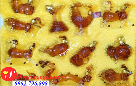 rượu 12 con giáp mini