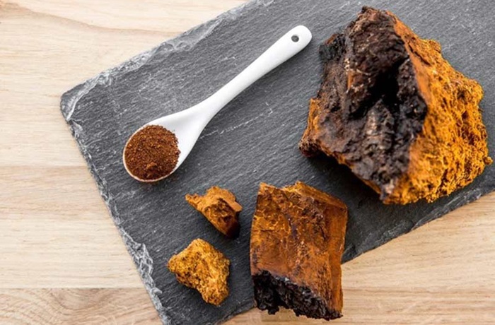 Cách sử dụng nấm Chaga