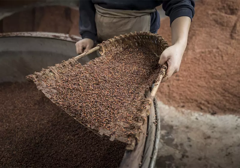 cách nấu rượu Mao Đài