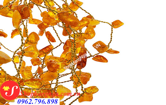 cây hổ phách Nga