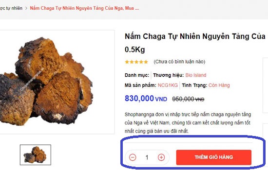 Hướng dẫn mua hàng