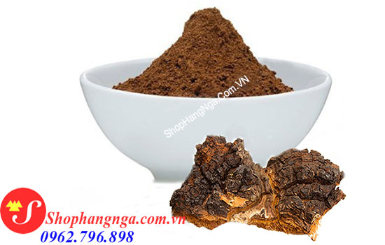 bột nấm chaga Nga