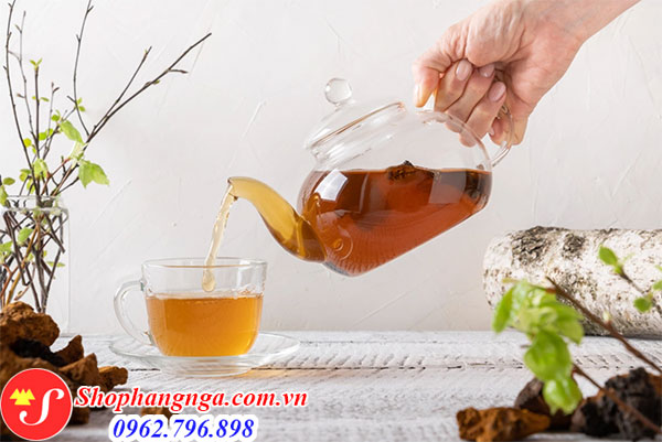 Nấm chaga