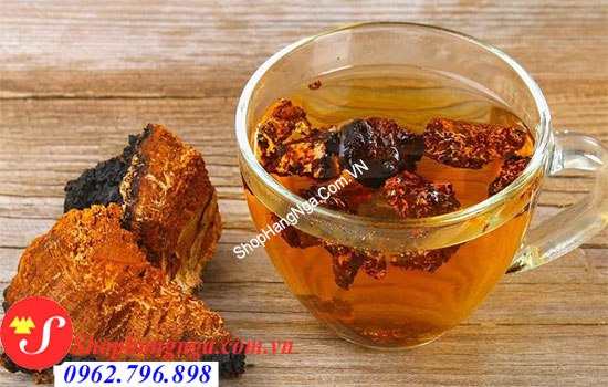 nấm chaga dùng để đun nước