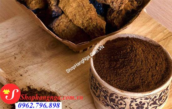 nấm chaga nghiền bột