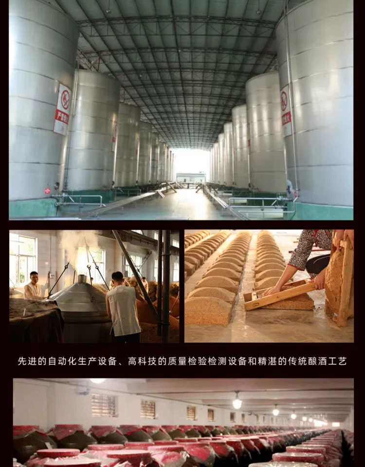 rượu bách niên hồ đồ 52 độ