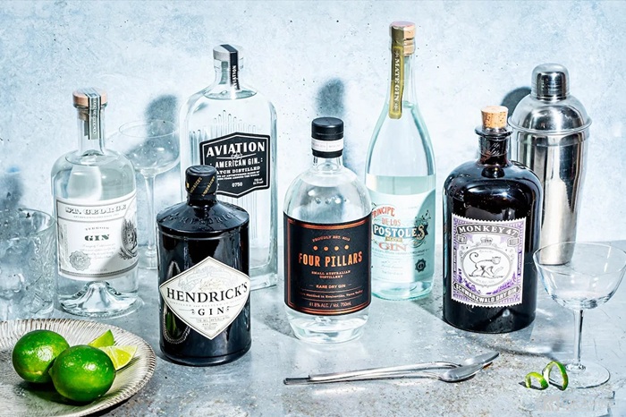 so sánh rượu Vodka và Gin