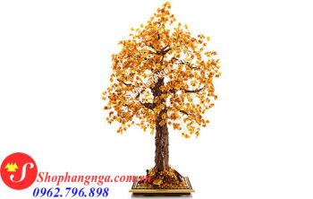 Cây Hổ Phách Nga Số 13 Dáng Liễu Tuyệt Đẹp