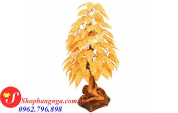 Cây Hổ Phách Nga Số 15 Bách Tán