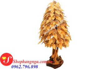 Cây Hổ Phách Nga Số 16 Bách Tán