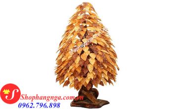 Cây Hổ Phách Nga Số 17 Bách Tán Đẹp Nhất