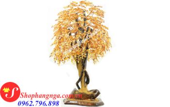 Cây Hổ Phách Nga Số 20 Dáng Lá Liễu