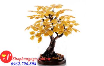 Cây Hổ Phách Nga Số 3 Kiểu Dáng Bách Tán