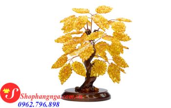 Cây Hổ Phách Nga Số 5 Dáng Mini Kiểu Bách Tán