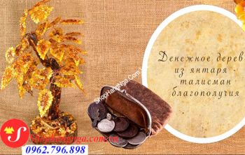 Phong Thủy May Mắn Của Cây Hổ Phách Mà Bạn Nên Biết