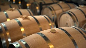 Lên men Malolactic là gì: Nghệ thuật lên men rượu vang đẳng cấp