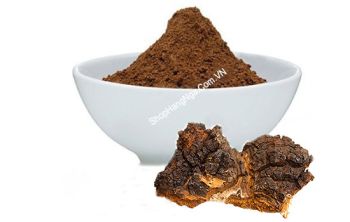 Bột Nấm Chaga Siberian Hữu Cơ Tự Nhiên Của Nga