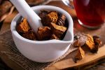 Đặc tính dược liệu của nấm chaga bạn nên biết