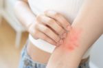 Tác dụng phụ của nấm Chaga là gì, ai không nên uống?