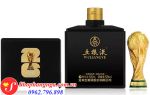 Chai Rượu Wuliangye FIFA World Cup Phiên Bản Giới Hạn