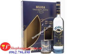 Rượu Beluga Transatlantic Racing Hộp Quà Và Cốc Của Nga