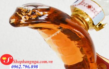 Địa chỉ bán rượu rắn 2025 ở đâu uy tín? Giá rẻ