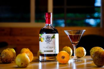 Top 7 loại rượu nặng nhất Việt Nam - Bạn thử loại nào rồi?