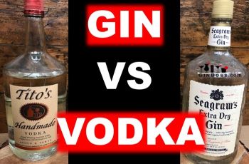 So sánh rượu Vodka và Gin: Khác biệt từ sự trong suốt